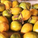 lucuma