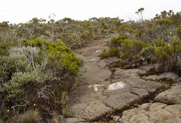 Sentier-Roche-Ecrite