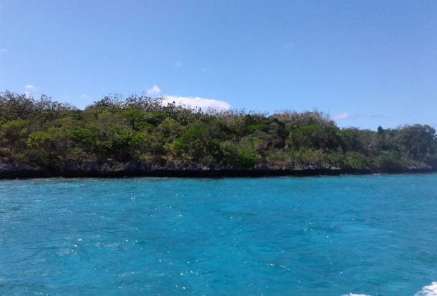 L'île aux Aigrettes repose sur une ancienne superstructure de corail et de sable compacte.