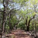 La randonnée dure environ deux heures si l’on emprunte le sentier le plus long.