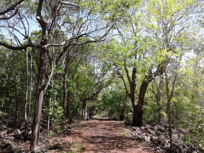 La randonnée dure environ deux heures si l’on emprunte le sentier le plus long.