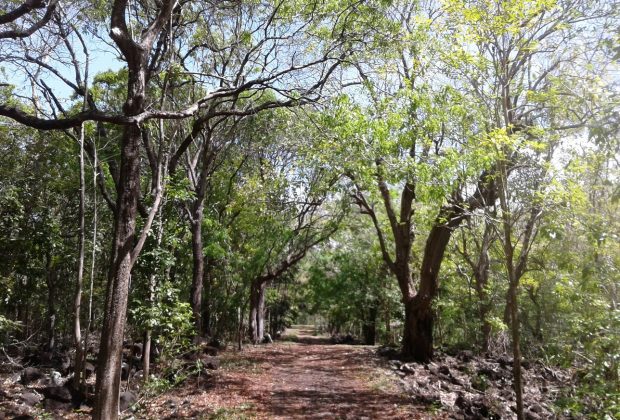 La randonnée dure environ deux heures si l’on emprunte le sentier le plus long.