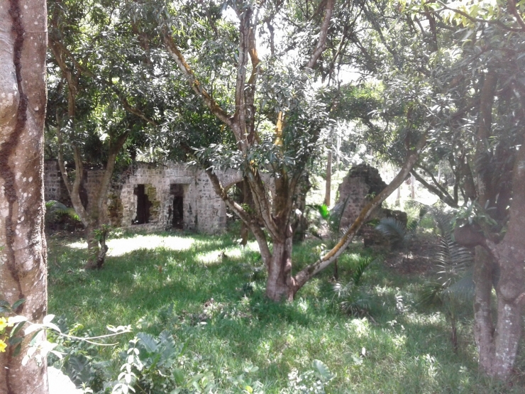 The ruins of the old sugar factory, next to the visitors' centre