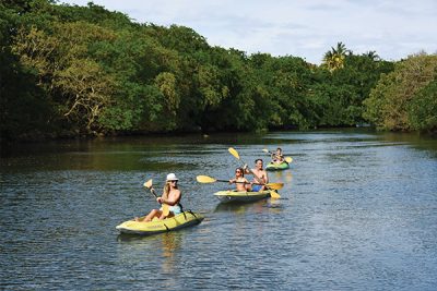 Radisson_mangrove_1