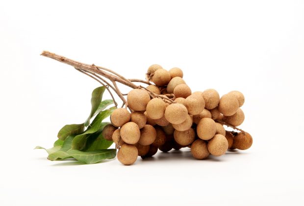 longan1