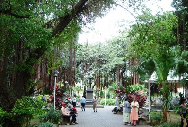 La partie Ouest du jardin et ses immenses banyans