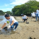 Le Preskil Island Resort plante 2 000 mangroves à Pointe d’Esny