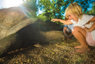 Maritim Resort & Spa Mauritius - Interaction respectueuse avec les animaux