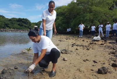 Le Preskil Island Resort affirme sa démarche écoresponsable