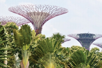 Singapour - Immersion dans la cité du Lion