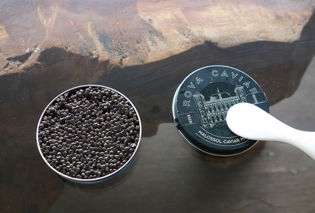 leRova Caviar : L'or de Madagascar - Travel-Iles