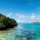 L'île aux Aigrettes : Une idée de la faune et de la flore de l'île Maurice d'avant l'Homme - Travel-Iles