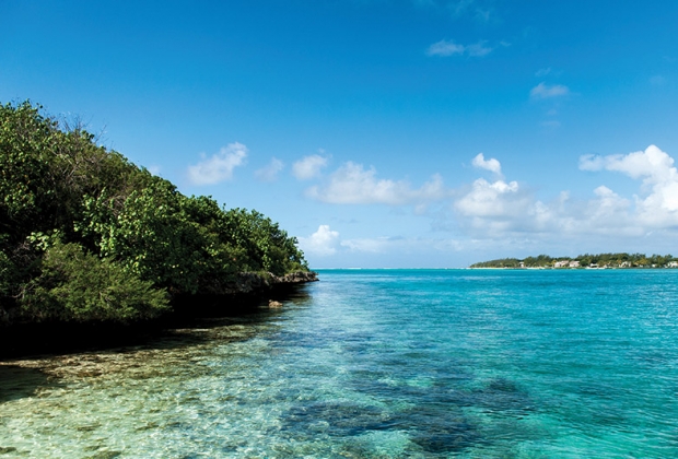 L'île aux Aigrettes : Une idée de la faune et de la flore de l'île Maurice d'avant l'Homme - Travel-Iles