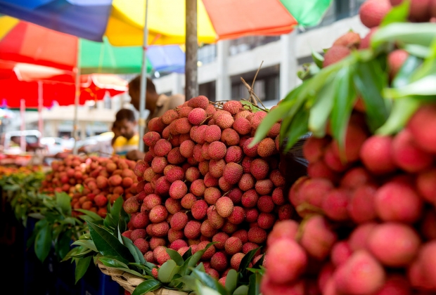 Le letchi - la star des fruits d’été est là - Travel-Iles